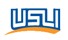 United States Liability Insurance Group Logo